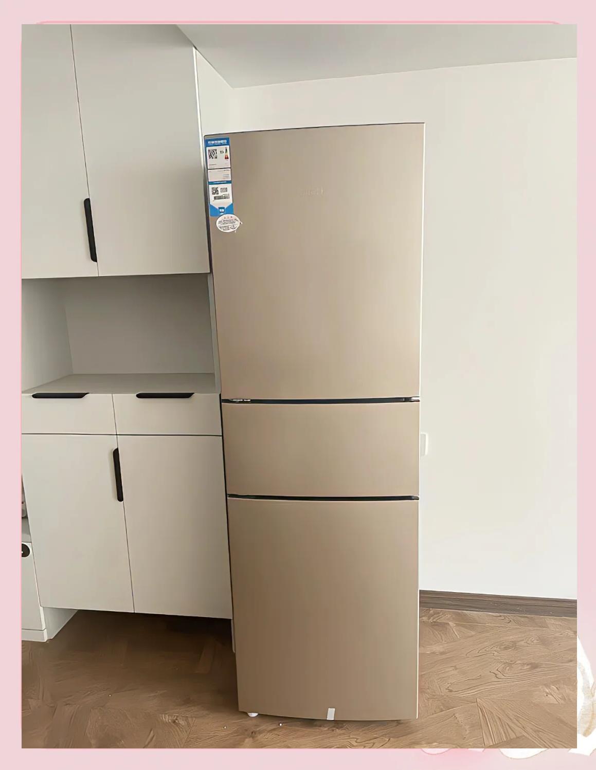 租房必备！海尔216冰箱详细介绍 小厨房的实用王者
